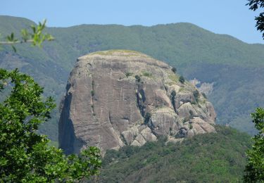 Tour Zu Fuß San Luca - (SI U04) San Luca - Pian di Zervò - Photo