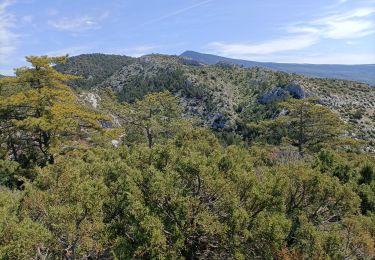 Trail Walking Bédoin - le grand Pata  - Photo