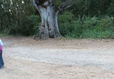 Tocht Stappen Murviel-lès-Montpellier - Murvielle les Mtp  - Monts de Valmalle - La Mochère -Mas de Vedas - Photo