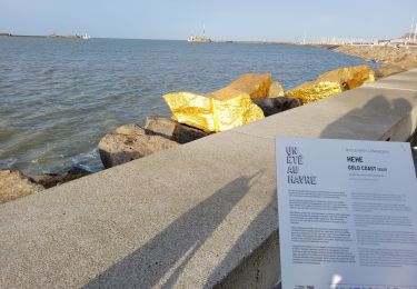 Tocht Stappen Le Havre - Le havre front de mer - Photo