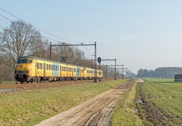 Randonnée A pied Almelo - WNW Twente - Tusveld - oranje route - Photo