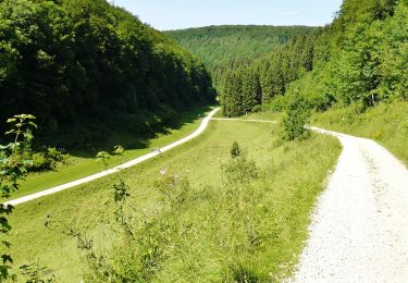 Trail On foot Gomadingen - Löwenpfade: Filsursprung-Runde - Photo