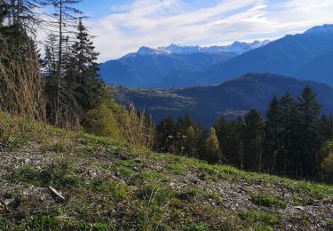 Tocht Noords wandelen Ayent - le pertou  - Photo