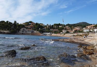 Tocht Stappen Le Pradet - la colle noire, les forts,le Pradon  - Photo