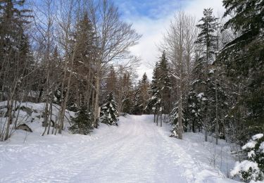 Trail Nordic walking Lans-en-Vercors - Jan's 2021 - Photo