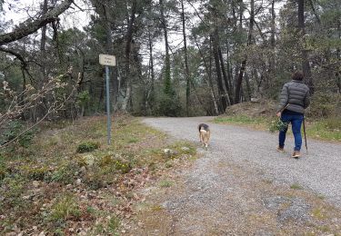 Trail Walking Sanilhac - Sanilhac du pezenas au Blachis - Photo