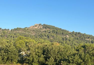 Trail Walking Le Puy-Sainte-Réparade - Puy Ste Réparade camping Messidor La Quille retour par canal - Photo