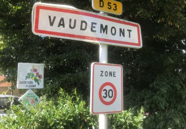 Randonnée sport Vaudémont - Vaudemont - Photo