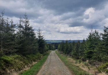 Tocht Stappen Stoumont - rando la gleize 20/05/2021 - Photo