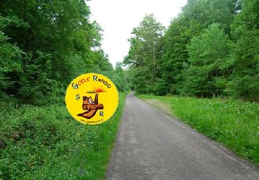 Trail Walking Largny-sur-Automne - V_LARGNY-sur-AUTOMNE_12.2Km - Photo