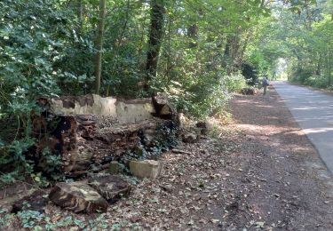 Tocht Stappen Essen - Essen -Heide (Limbourg) - Photo