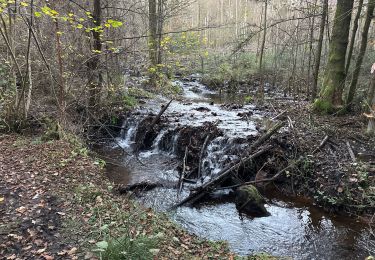 Randonnée Marche Trois-Ponts - Wanne 22,8 km - Photo