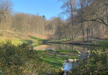 Percorso Marcia Genappe - Promenade de Ways Ruart  - Photo