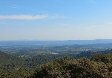 Tocht Stappen Peypin-d'Aigues - Fontjoyeuse - Photo