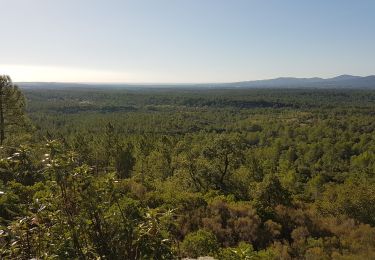 Tour Wandern Bagnols-en-Forêt - BAGNOLS EN FORÊT - LES GORGES DU BLAVET - Photo