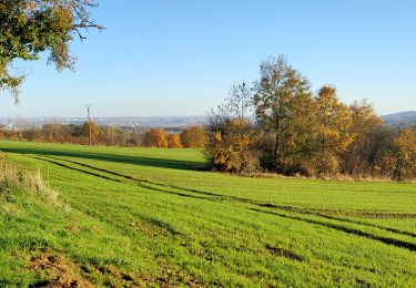 Tocht Stappen Saulny - saulny - Photo