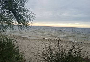 Tocht Lopen Carcans - Petit tour vers le lac D'Hourtin - Photo