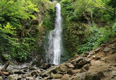 Randonnée Marche Chambon-sur-Lac - vallée de chaudefour et les cascades  - Photo