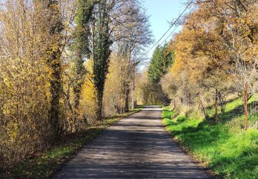 Tocht Stappen Durbuy - Le bois d’En(n)eille(s)  - Photo