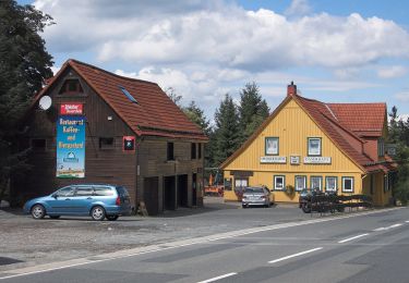 Excursión A pie Harz (Landkreis Göttingen) - Morgenbrodtsthaler Graben - Photo