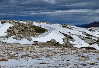 Excursión Raquetas de nieve Bouvante - 2 0240122fonturle - Photo