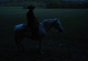 Trail Horseback riding Saint-Martin - sortie avec chéri satis kaline voir coucher de soleil pleine lune - Photo