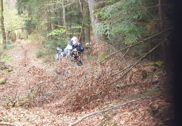 Excursión Moto Issoire - Monboisier/vernet la varenne - Photo