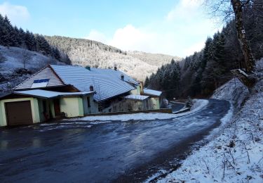 Tour Wandern Sulz/Oberelsass - 2020-02-04 Rimbach Glashutte - Photo