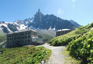 Trail Walking Chamonix-Mont-Blanc - Trajet Retour - Photo