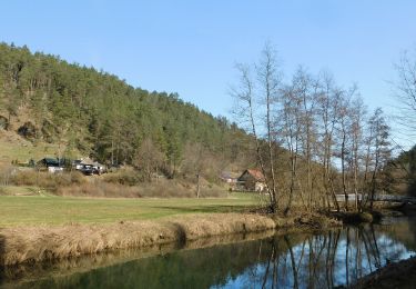 Randonnée A pied Waischenfeld - Waischenfeld Rundwanderweg grüner Ring - Photo