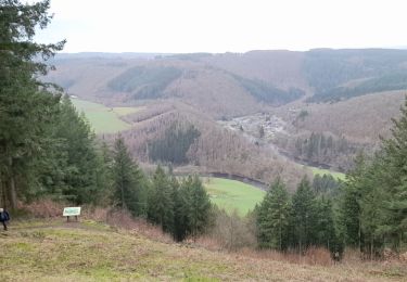 Percorso Marcia La Roche-en-Ardenne - sacrée  borzee m'abonne berosmenil - Photo