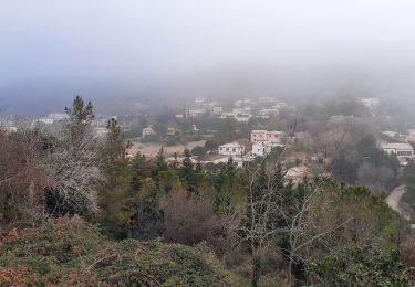 Trail Walking Puy-Saint-Martin - Puy St Martin La Pigne - Saudon 8km500 - Photo