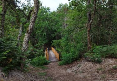 Trail Walking Vielle-Saint-Girons - jour 8 du 02/07/23 - Photo