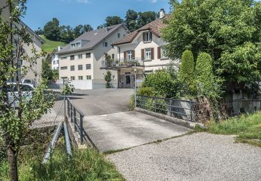 Tocht Te voet Willisau - Willisau (Schwyzermatt) - Hergiswil - Photo
