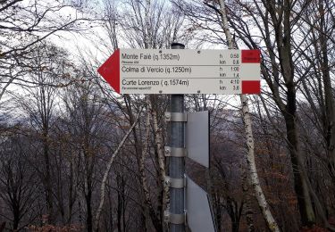 Trail On foot Mergozzo - A54 - Bracchio - Cappella di Erfo - Monte Faiè - Photo