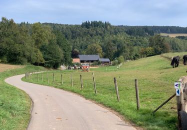 Tour Wandern Préizerdaul - Bettborn  - Photo