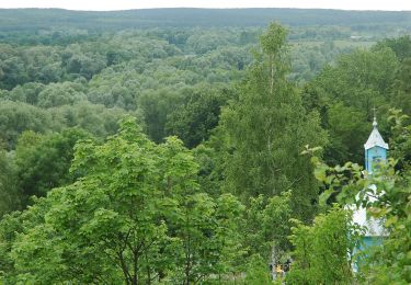 Excursión A pie Anusin - Szlak Bunkrów - Photo