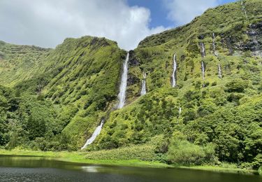 Tour Wandern Lajedo - GR01 Flores: Lajedo - Faja Grande - Photo