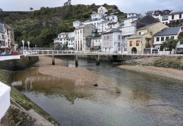 Tour Zu Fuß Valdés - Ruta Turística Severo Ochoa - Photo