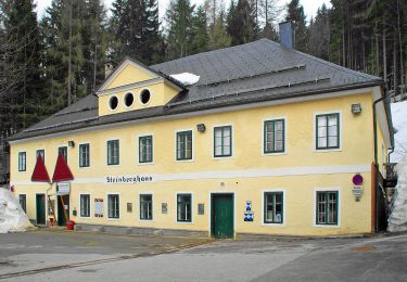 Tour Zu Fuß Altaussee - Via Salis - Photo