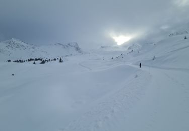 Tour Schneeschuhwandern La Plagne-Tarentaise - La Plagne Village, Plan Leychoum - Photo