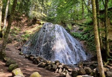 Tour Wandern Mont-Dore - 2021-06-27 les 3 cascades Mont Dore - Photo