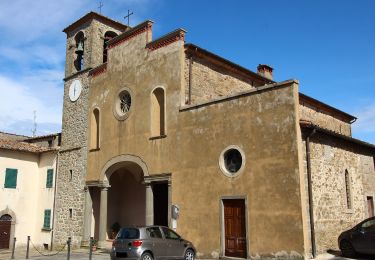 Tocht Te voet Greve in Chianti - IT-30 - Photo