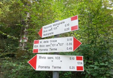 Trail On foot Sambuca Pistoiese - IT-159 - Photo