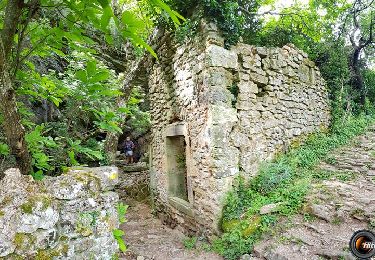 Tour Wandern Coux - 2020-01-18_18h14m51_Jaubernie-serre-de-l'église 15km - Photo