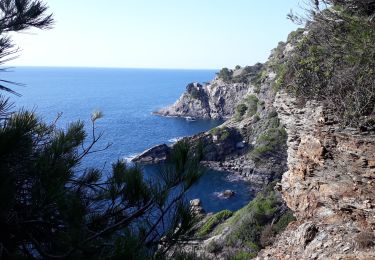 Trail Walking Hyères - Tour de la Madrague 26/10/19 - Photo