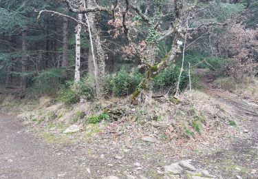 Tour Wandern Mas-Cabardès - Mas le Carnier - Photo