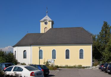 Tocht Te voet Herzogsdorf - Hofing-Runde - Photo