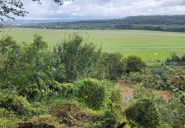 Tocht Noords wandelen Courcelles-lès-Montbéliard - randonnée du lion 2024 - Photo