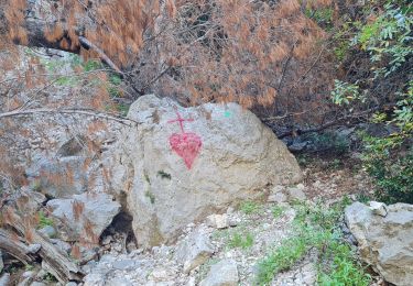 Tour Wandern Toulon - Le faron..solo - Photo